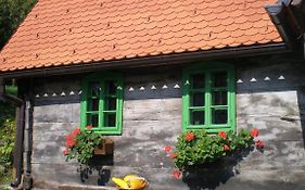 Apartmani Etno Kuca Pod Okicem